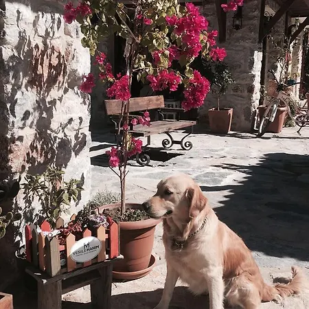 Susam Suites Alojamento de Acomodação e Pequeno-almoço
